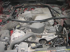 IMG_7764 IMG_7764