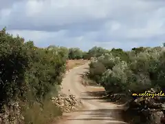 03, por el llano del cura, marca