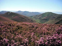 DSCF2529 DSCF2529