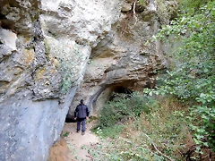 DSCN6557 DSCN6557
