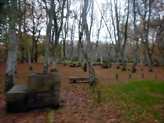 DSCN0747'4 DSCN0747'4