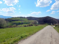 DSCN9696 DSCN9696