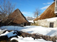 DSCN1935 DSCN1935