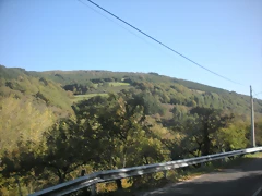 DSCN9989 DSCN9989