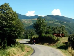 DSCN0064 DSCN0064