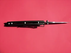 DSCF1683 DSCF1683
