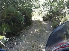 47