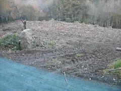 DSCN6670 DSCN6670