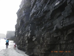R0011139 R0011139