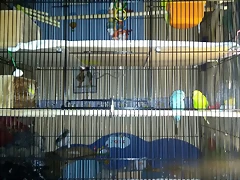 IMG_20190121_220743 IMG_20190121_220743