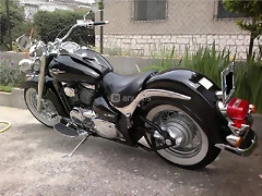 7317496_g 7317496_g