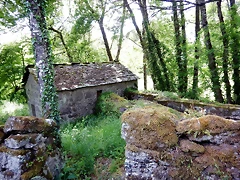 DSCN2448