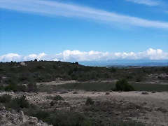 IMG-20180501-WA0009 IMG-20180501-WA0009