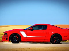DSC_0370 DSC_0370