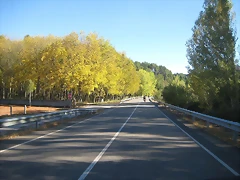 IMG_1284 IMG_1284