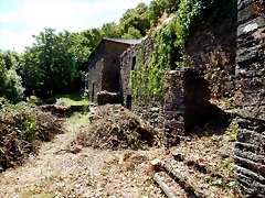 DSCN1516 DSCN1516
