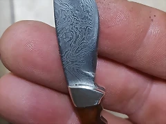 20190122_213624 20190122_213624