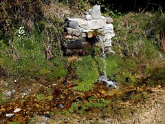 DSCN9610 DSCN9610