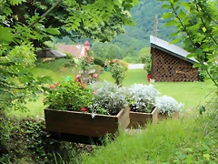 IMG_6523 IMG_6523