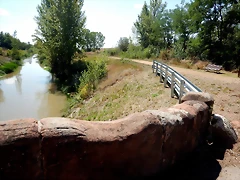 10 DSCN9404