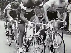 MERCKX,GIMONDI.