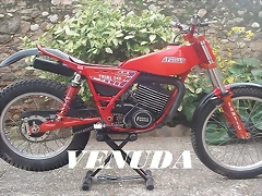 1 - MOTOCAT VENUDA