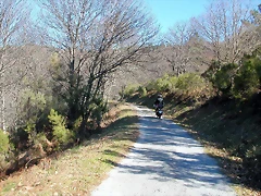 DSCN7931 DSCN7931