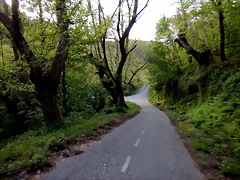 DSCN9642 DSCN9642