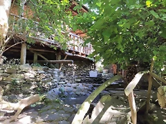 DSCN0129'2 DSCN0129'2