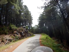 DSCN1335 DSCN1335