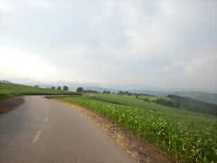 DSCN8820 DSCN8820