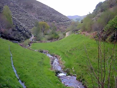DSCN9095 DSCN9095