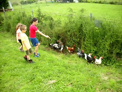 DSCN8363 DSCN8363