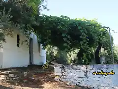 06, cortijo y parra, marca