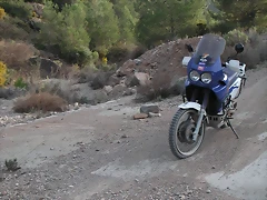 PICT0129