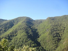 IMG_1085 IMG_1085