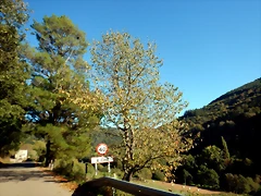DSCN0632 DSCN0632