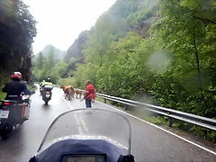 DSCN5731 DSCN5731