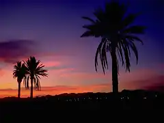 790045 - Semi-tropical sunset, Arizona