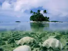 Aitutaki-Cook-Islands