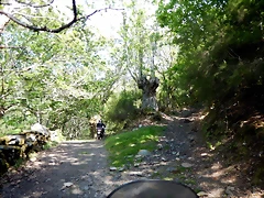 DSCN5069 DSCN5069
