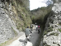 R0012355 R0012355