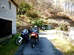 DSCN5155 DSCN5155