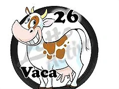 vaca