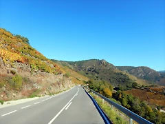 DSCN0875 DSCN0875