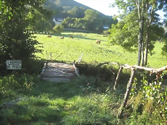 IMG_0961 IMG_0961