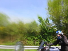 85-IMG_6307