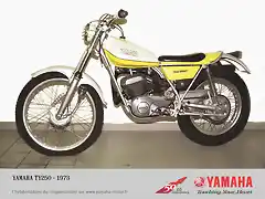 YamTY250yellow1974