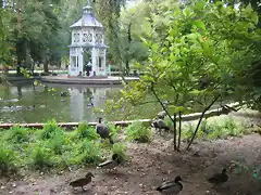 Aranjuez_PavosyPatos