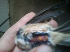 2013-03-24 11.55.55